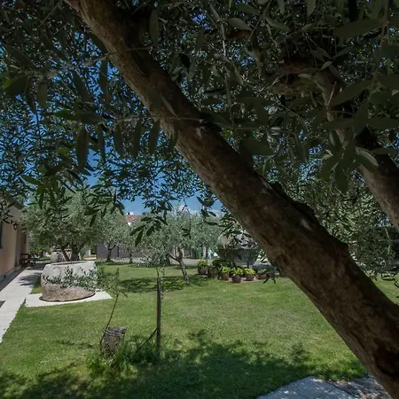 Gasthuis Guest House Maslina 3*
