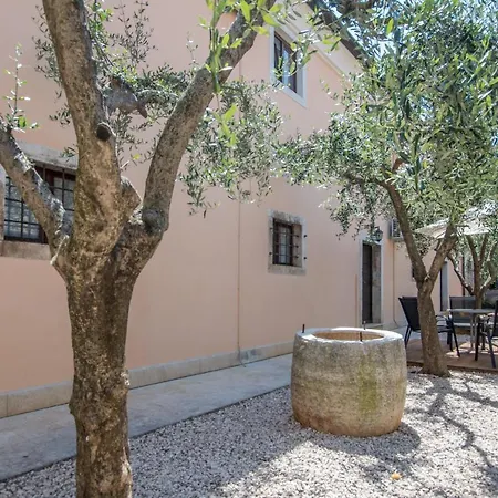 Guest House Maslina 3*
