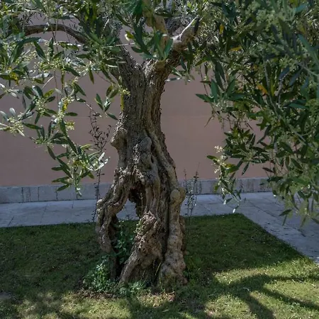 Guest House Maslina Guest house Umag